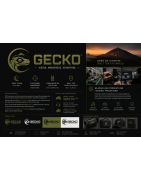 Gecko